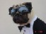 puggie's Avatar